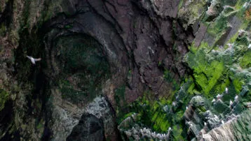 Cathedral Cave